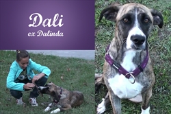 Dali-Dalinda voli kada je cijela obitelj na okupu :)